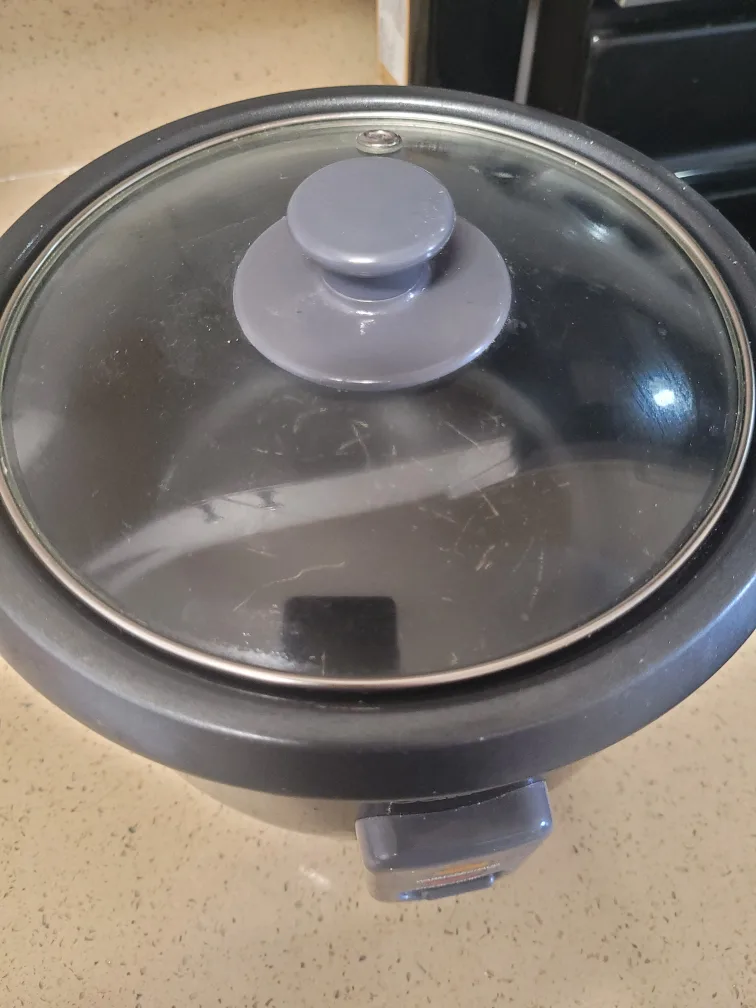 Salton Rice Cooker image indicator(3)