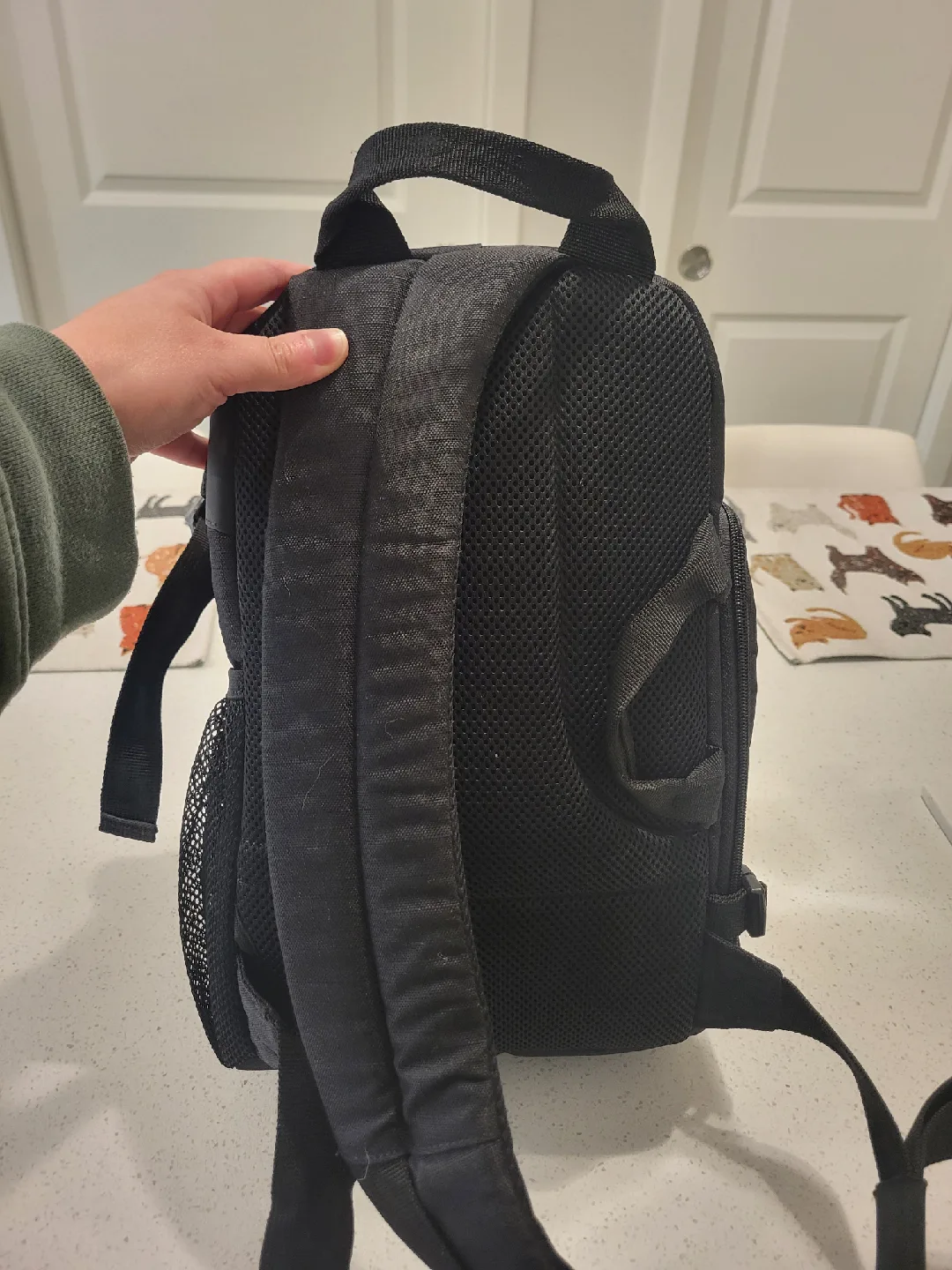 Canon EOS Rebel T6/1300D DSLR Camera image indicator(7)