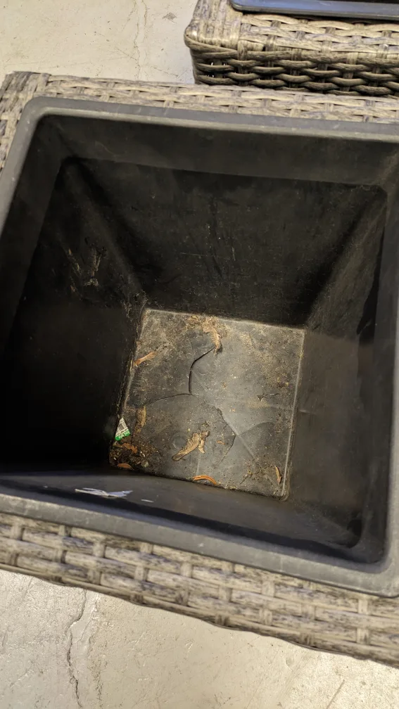 Wicker Outdoor Planters (Set of 2) image indicator(3)