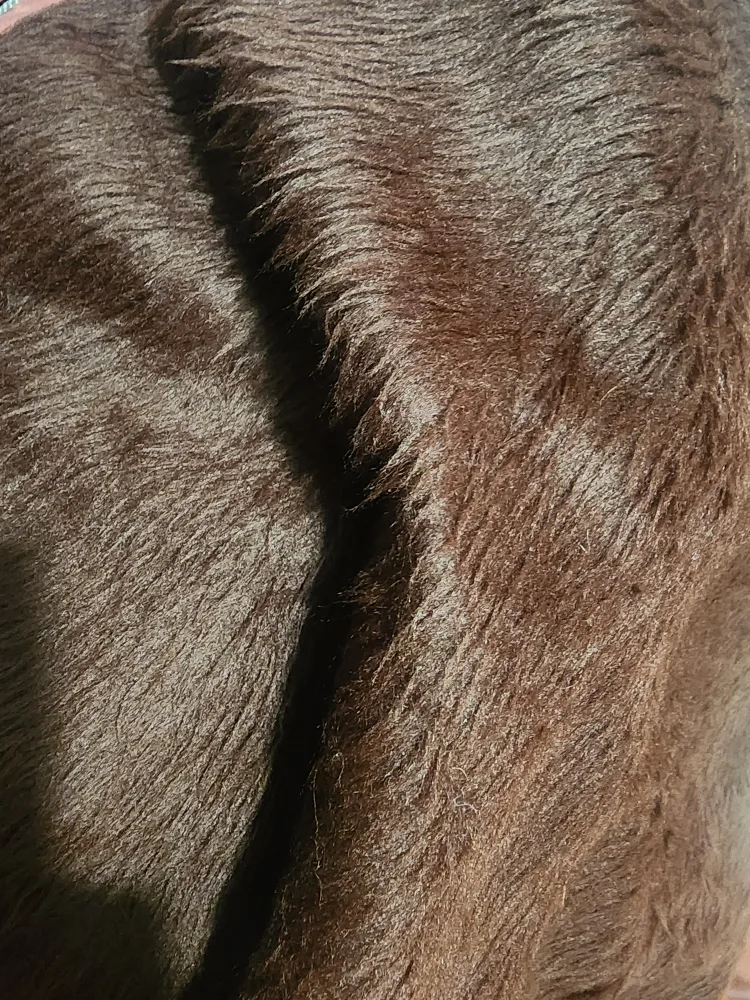 Vintage Brown Leather Jacket With Real Fur Lining. image indicator(5)