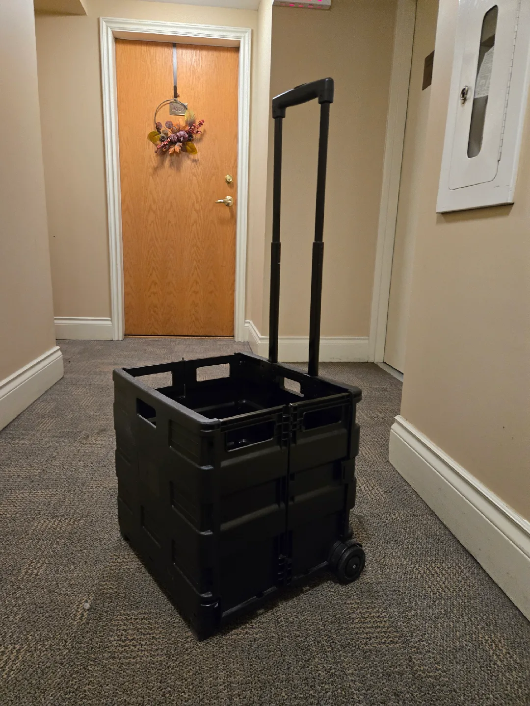 Black Collapsible Rolling Storage Cart