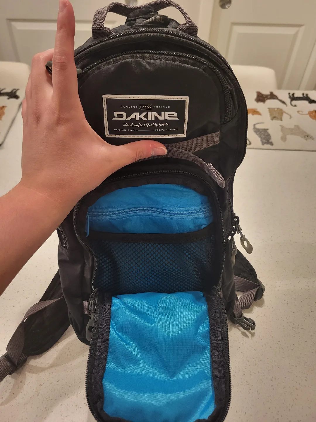 Dakine Hiking Backpack - Black image indicator(4)
