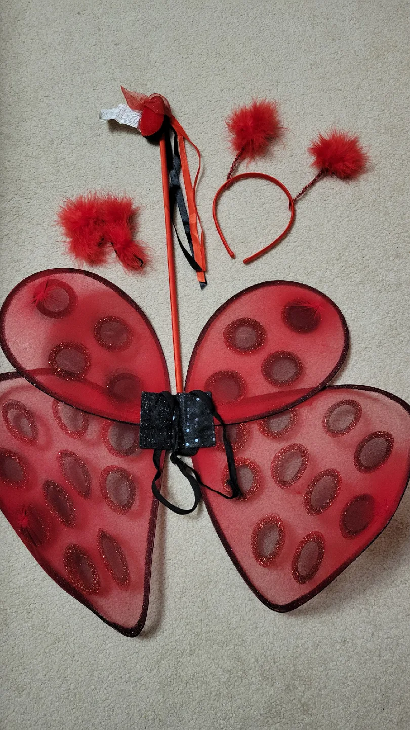Halloween Ladybug Costume - Includes Wings, Dress and Headband image indicator(3)