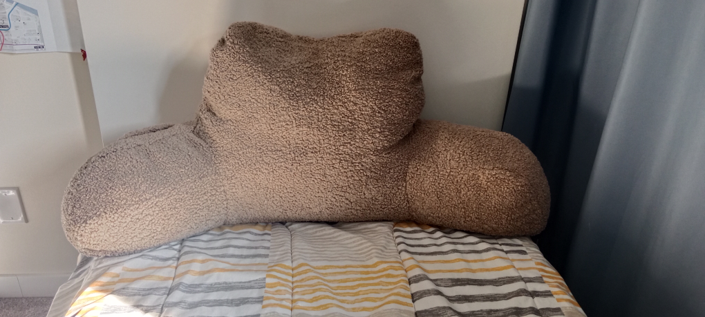 Big Reading Pillow.