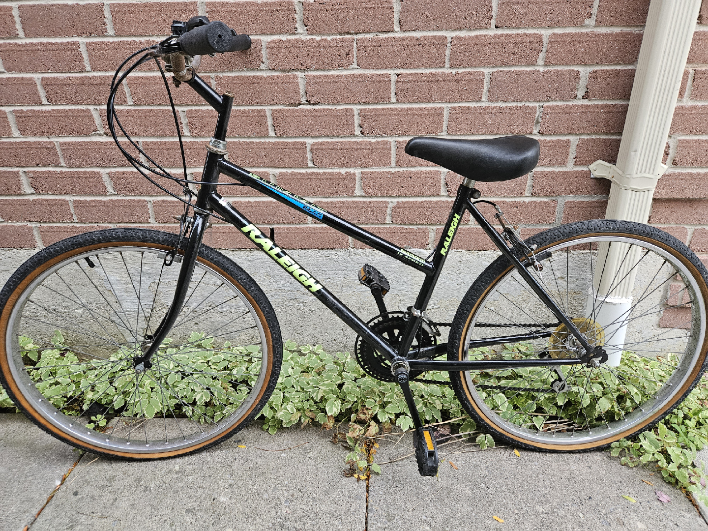 Raleigh Summit Mountain Bike-12 speed