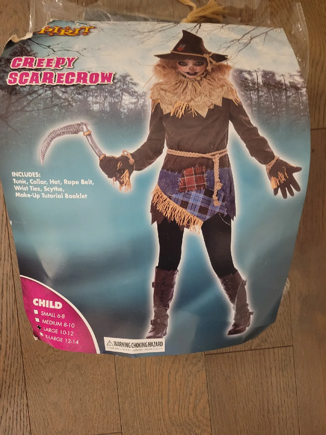 3 Kids Halloween custumes, Crown, Wizard & Scarecrow