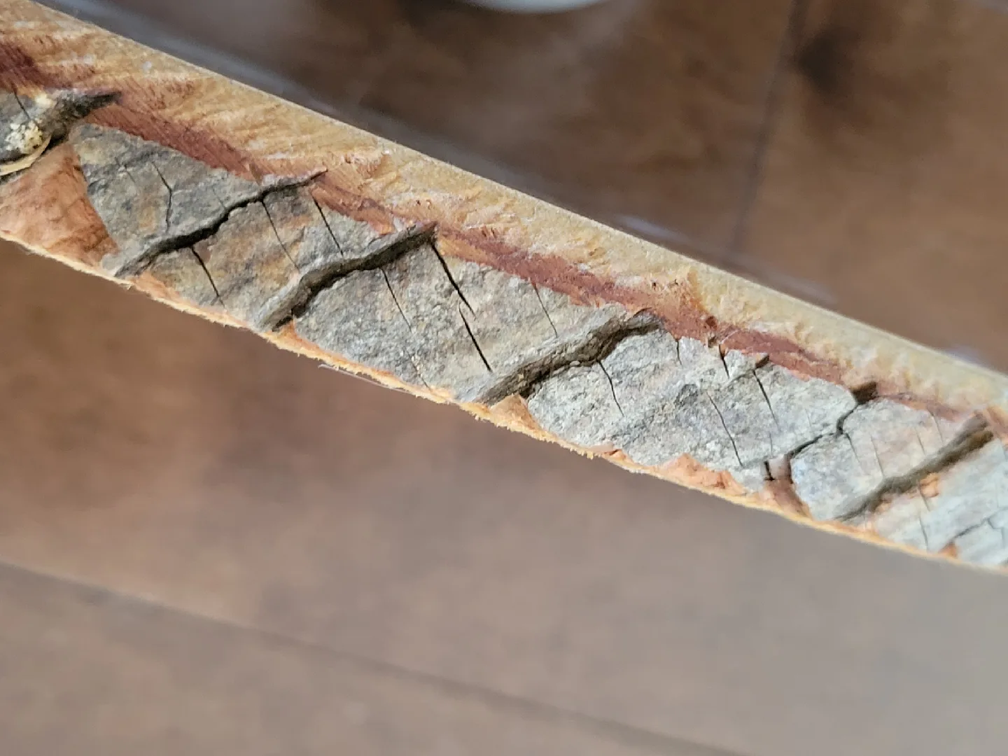 Vintage Print on Wood Slice. rustic art. pictures image indicator(2)