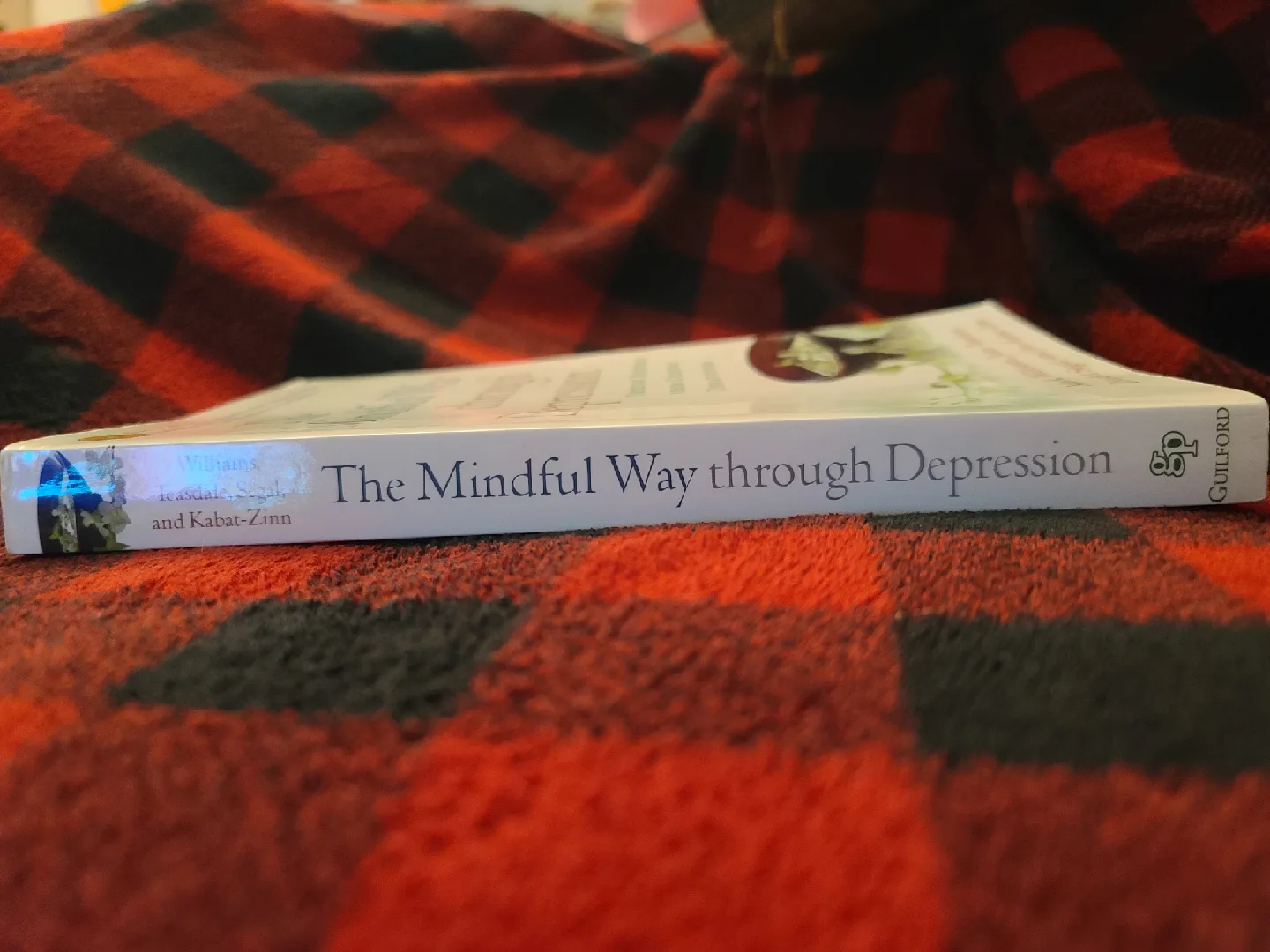 The Mindful Way through Depression Book image indicator(3)