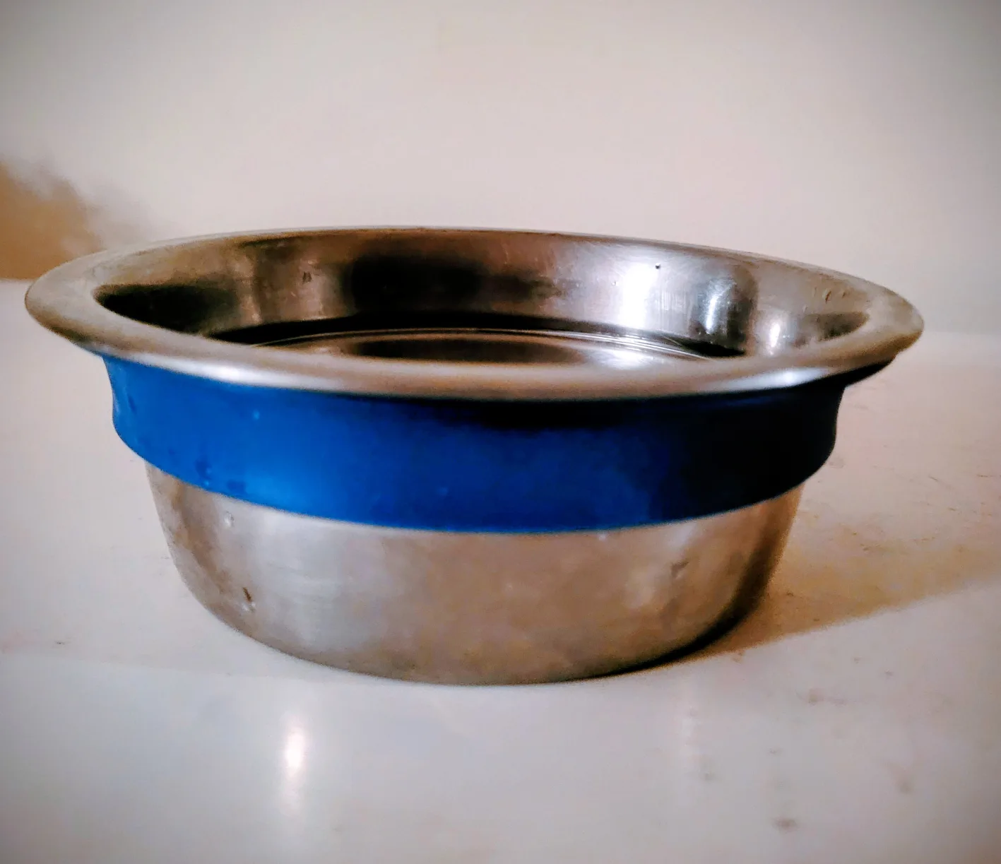 Pet Bowl 🥕 Freecycle thumbnail