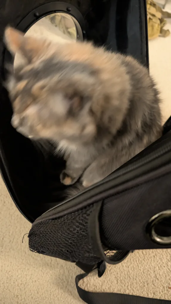 Pet Carrier Backpack - Space Capsule Design image indicator(7)