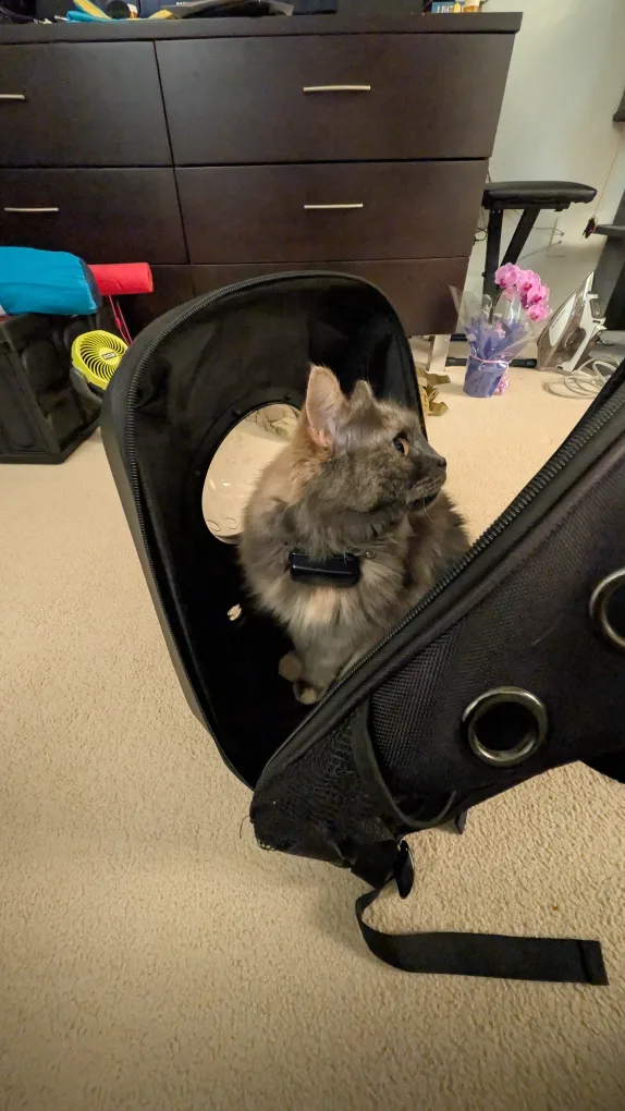 Pet Carrier Backpack - Space Capsule Design image indicator(8)