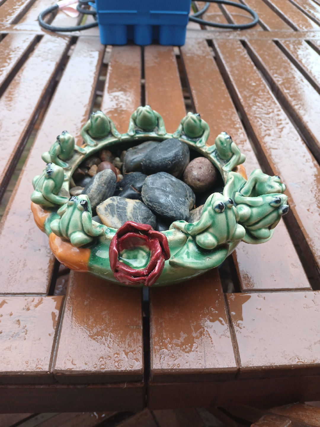 Frog Pond Ceramic Planter- ideal for bamboo