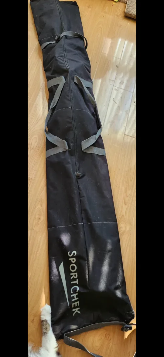 Skis and Swix Poles. 174cm image indicator(8)