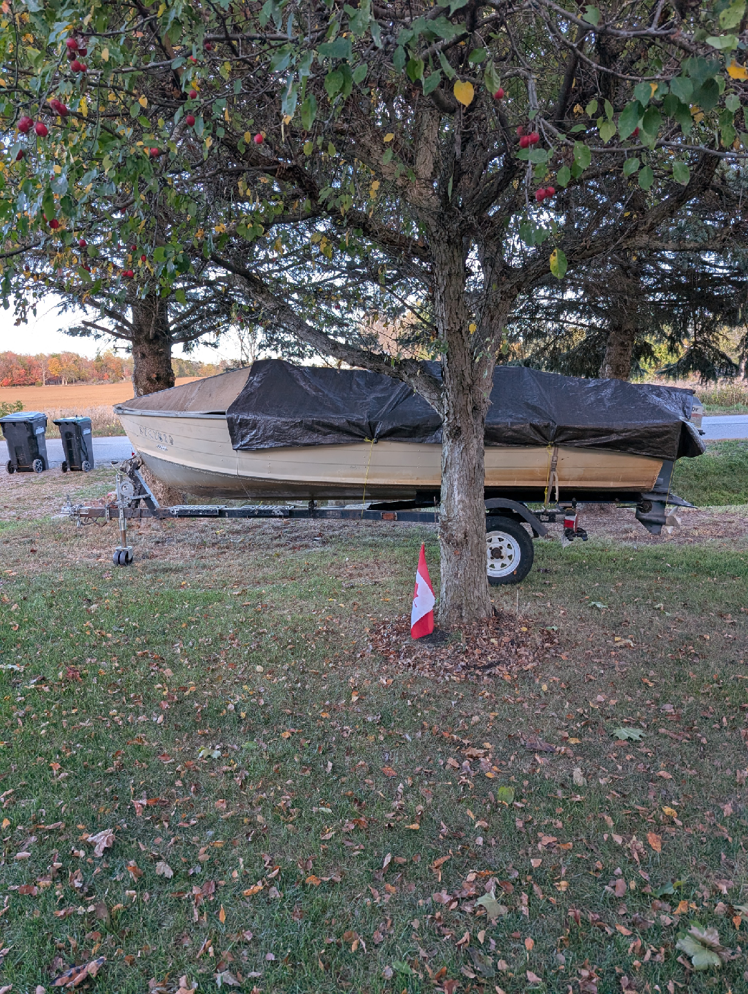 Sylvan 14 foot boat, motor, trailer - photo 5