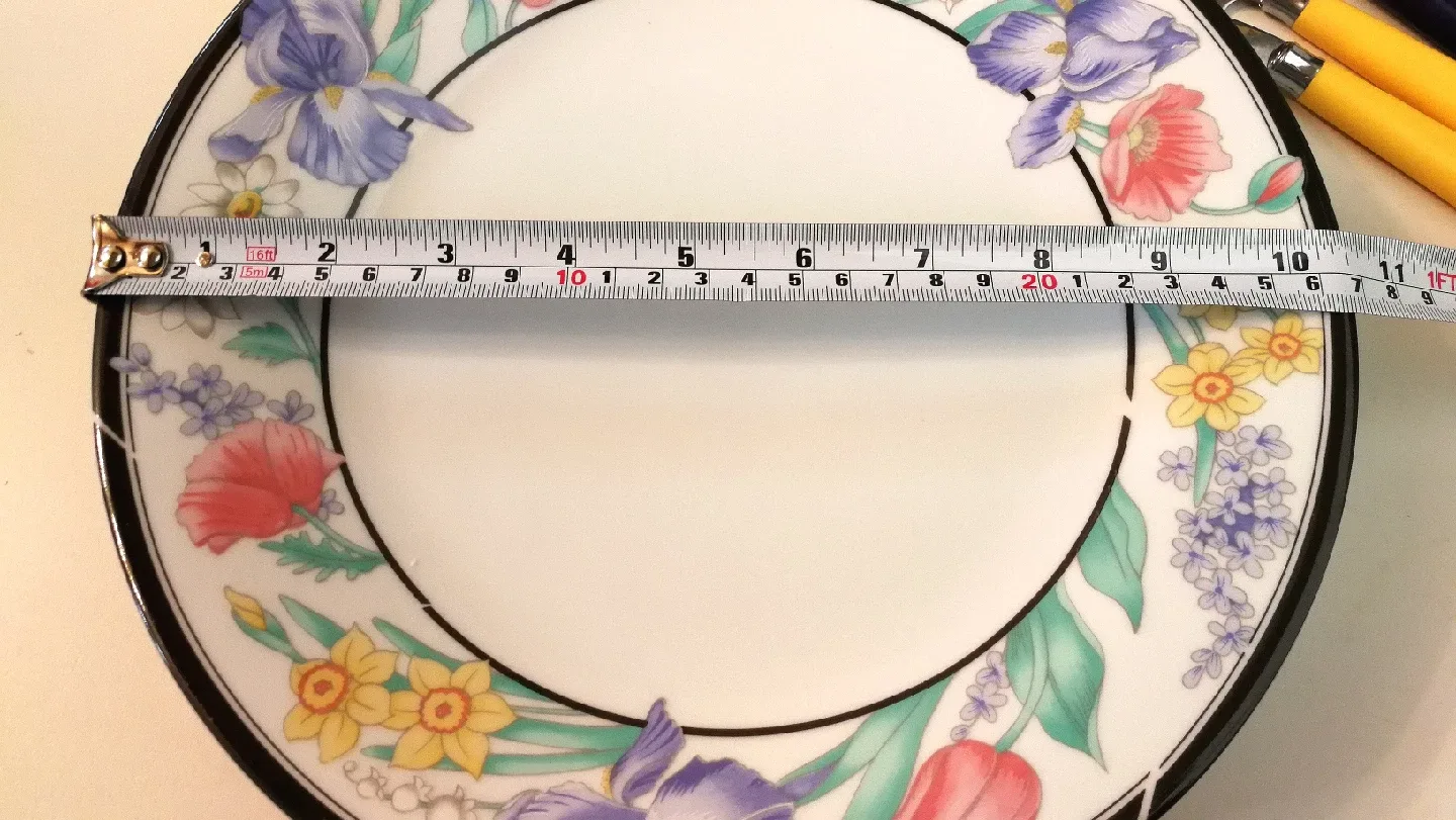 Large Fine China Plates (4) + Stainless Steel Utensils (New) image indicator(2)