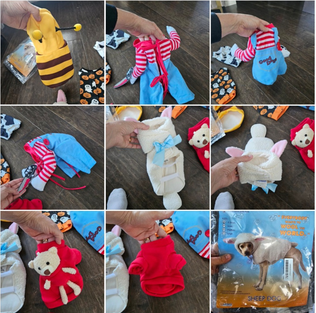 (New)Dog Halloween Costumes,price between $10 to $20 - photo 3