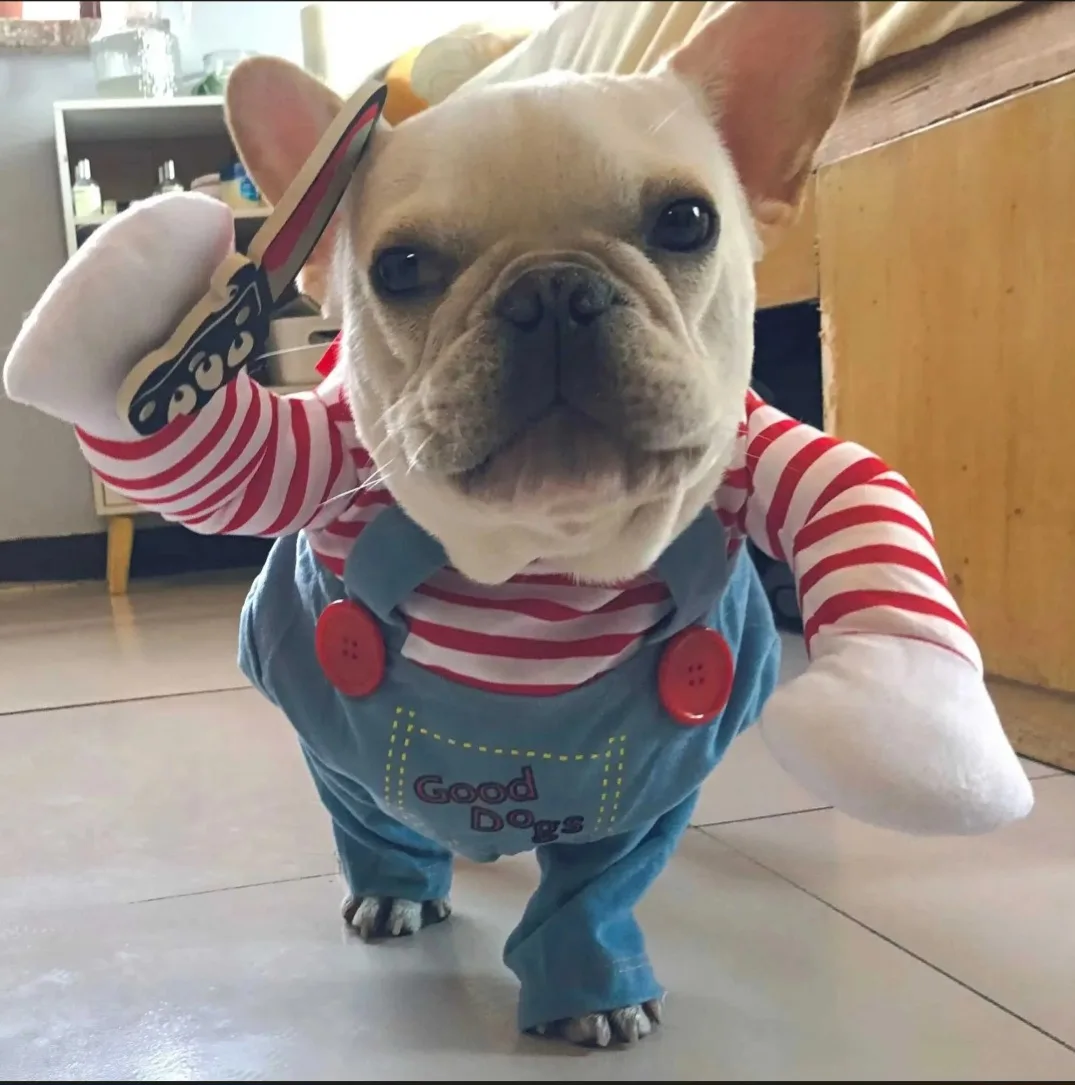 (New)Dog Halloween Costumes,price between $10 to $20 image indicator(5)