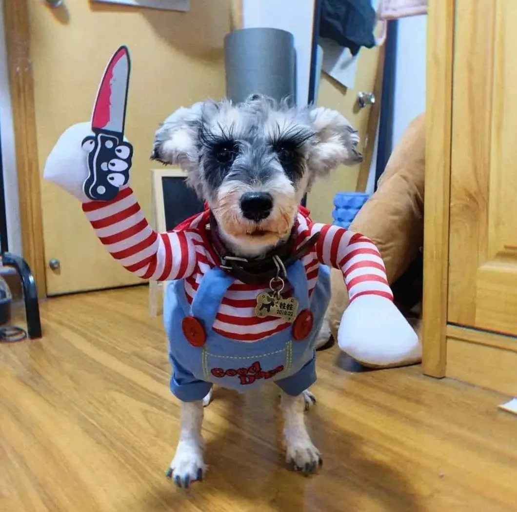 (New)Dog Halloween Costumes,price between $10 to $20 image indicator(8)