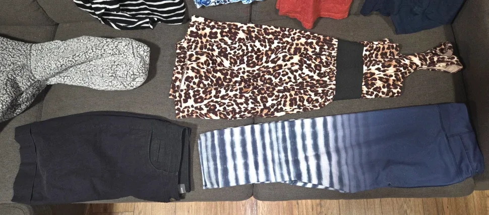 Women's Large Clothing Lot #3 image indicator(5)