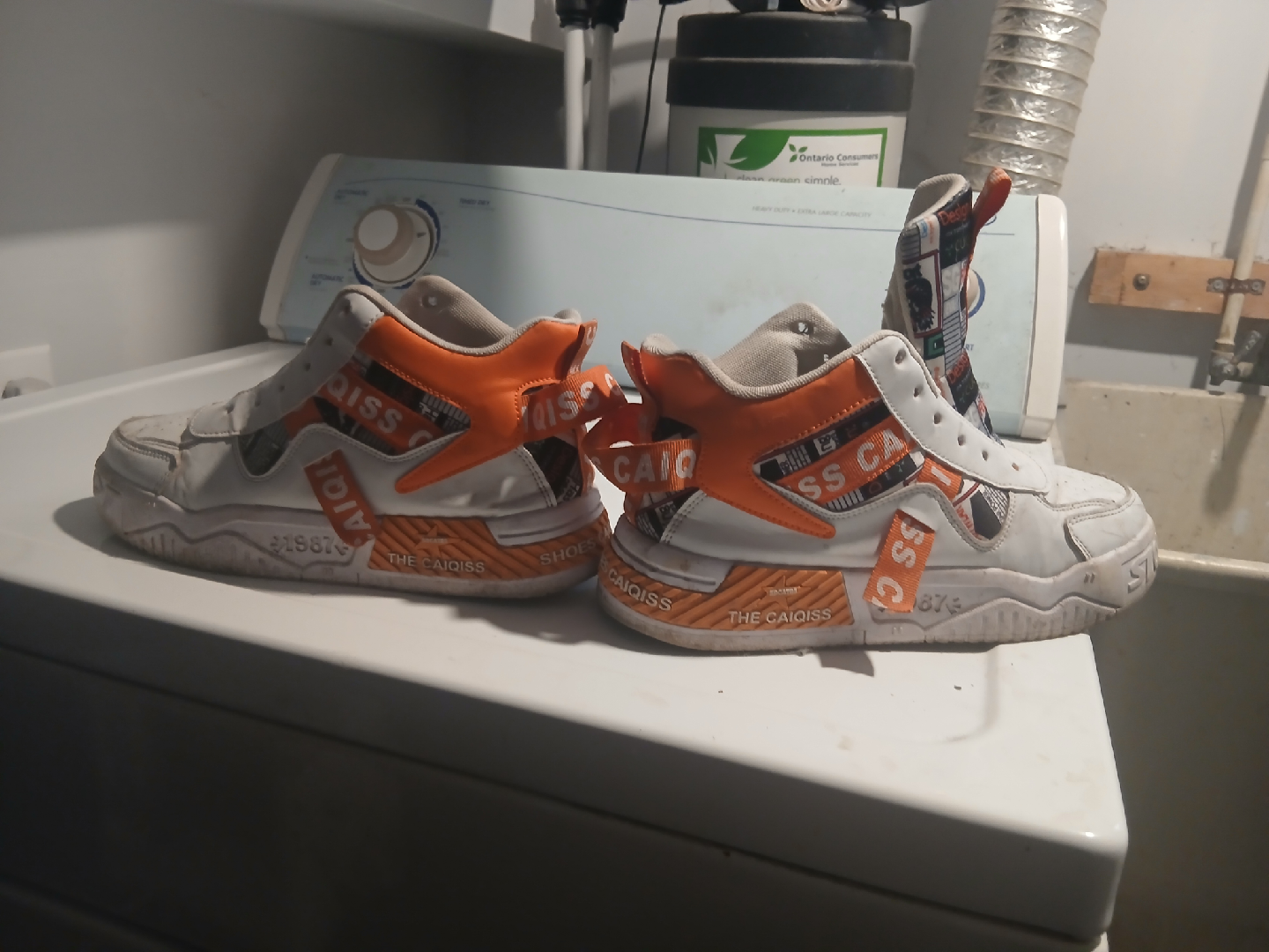 The Caioiss Shoes