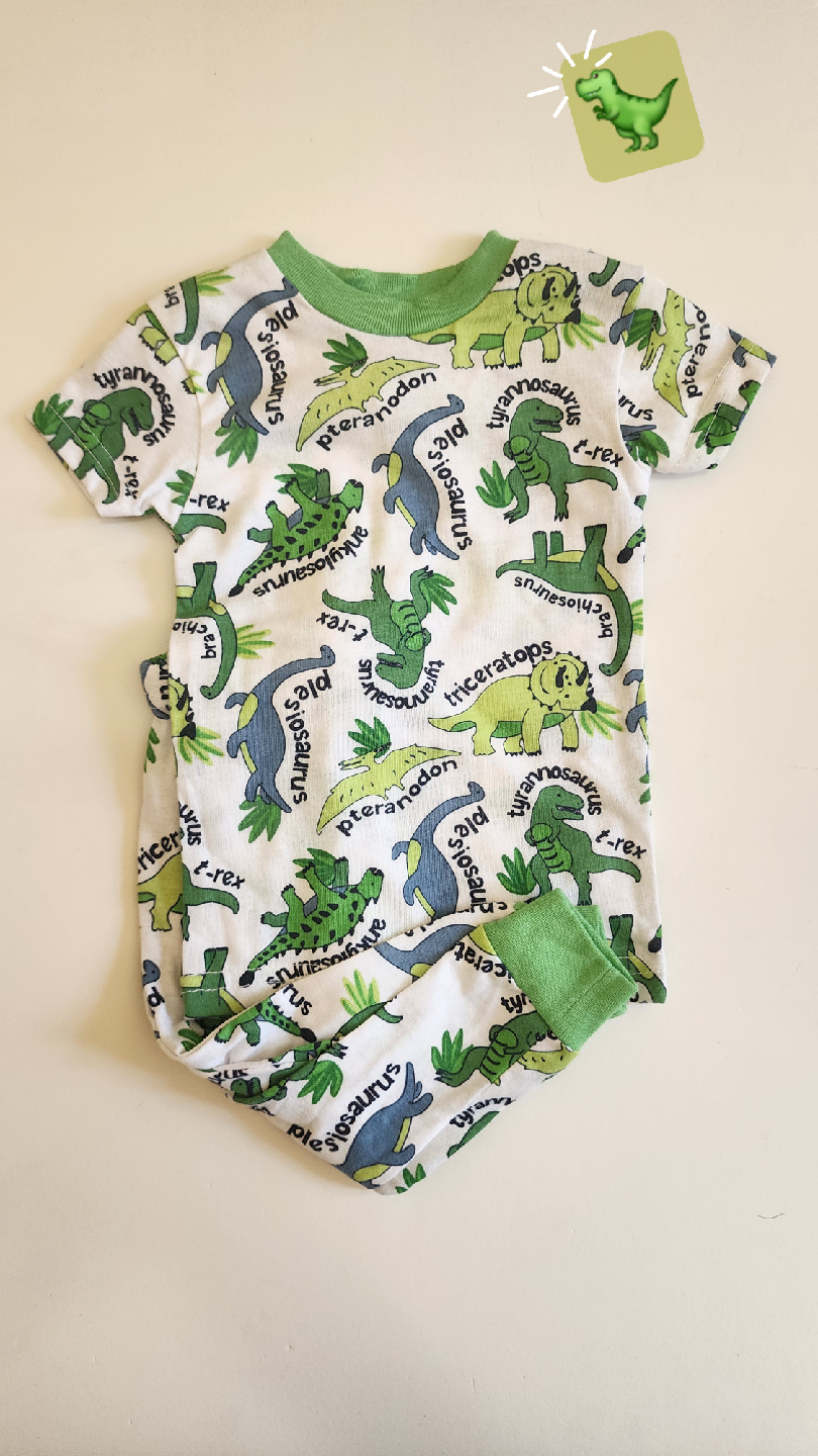 Dinosaur Print Kids Pajama Set-12M