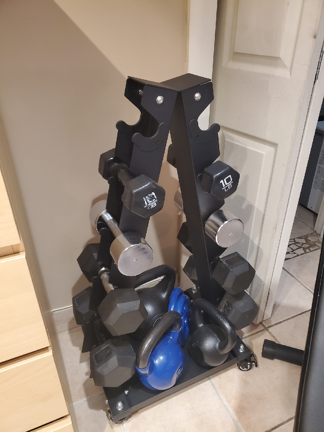 Lionscool A-Frame Dumbbell Rack with weights