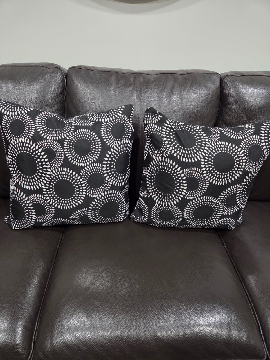 Assorted Decorative Pillows