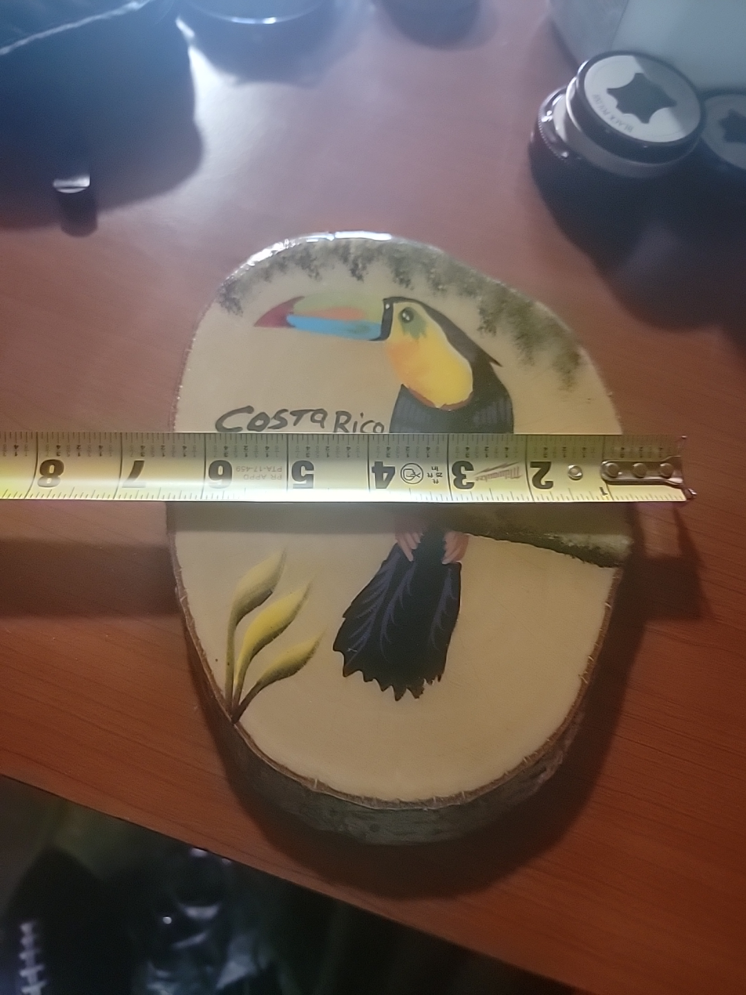Costa Rica Toucan Wood Slice Art - photo 5