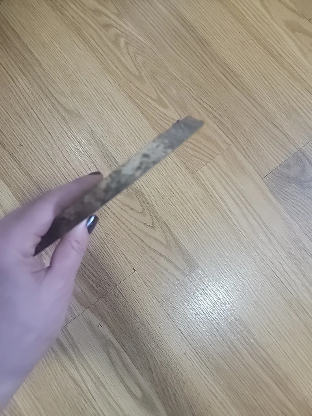 Costa Rica Toucan Wood Slice Art image indicator(8)