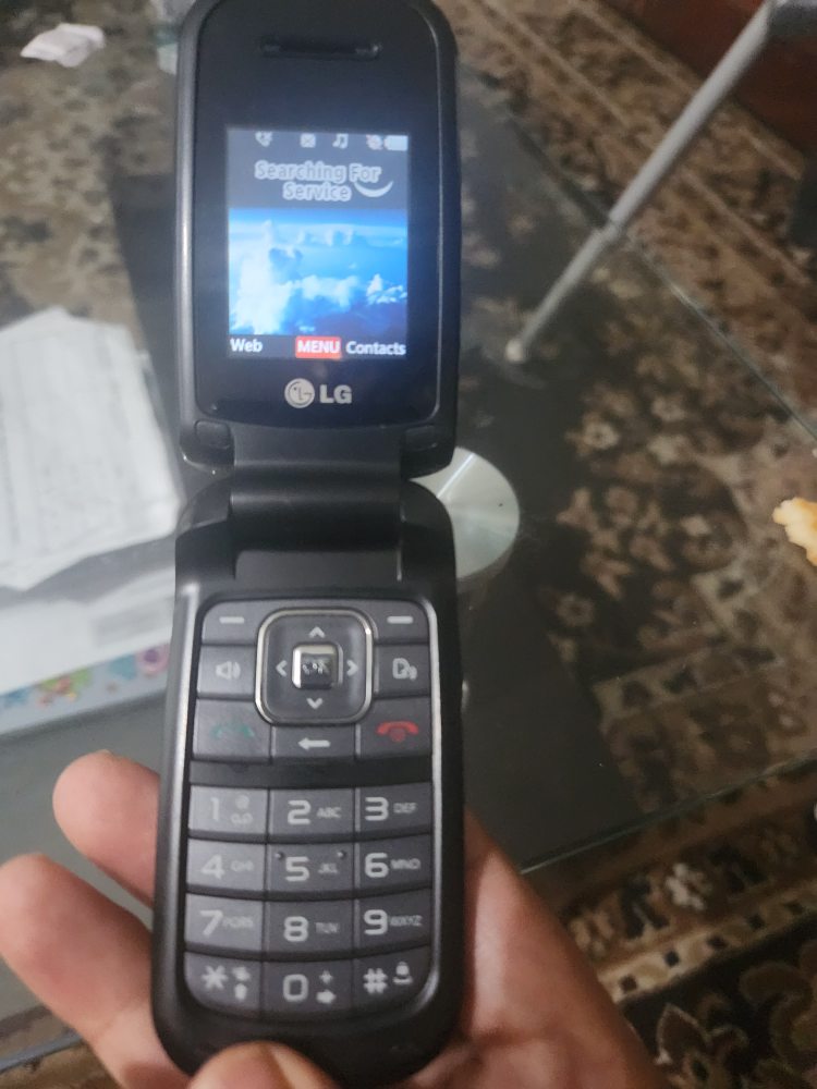 LG Flip Phone