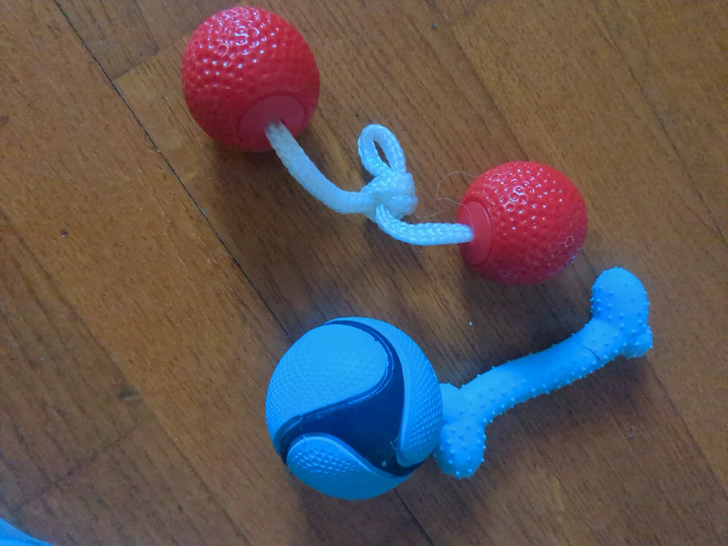 Dog Chew Toys - Red & Blue thumbnail