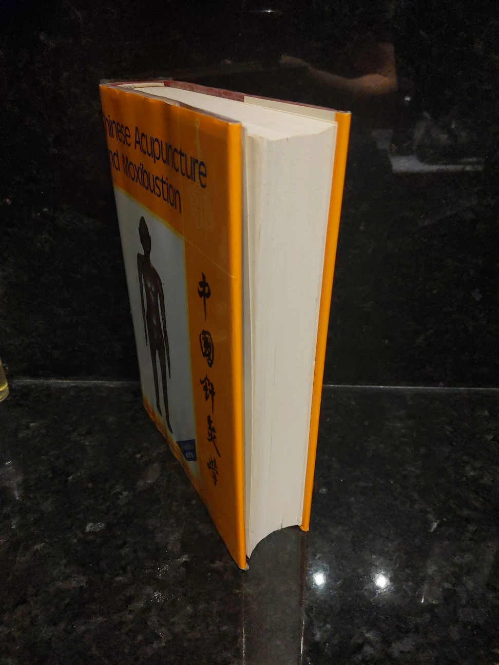 Chinese Acupuncture and Moxibustion Book - photo 3