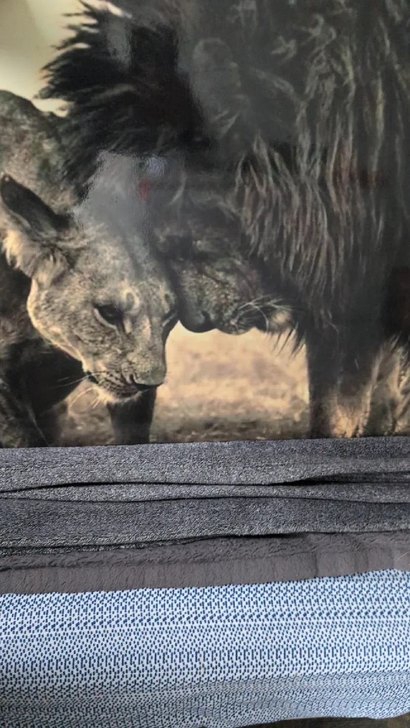 Lion Canvas Print image indicator(2)