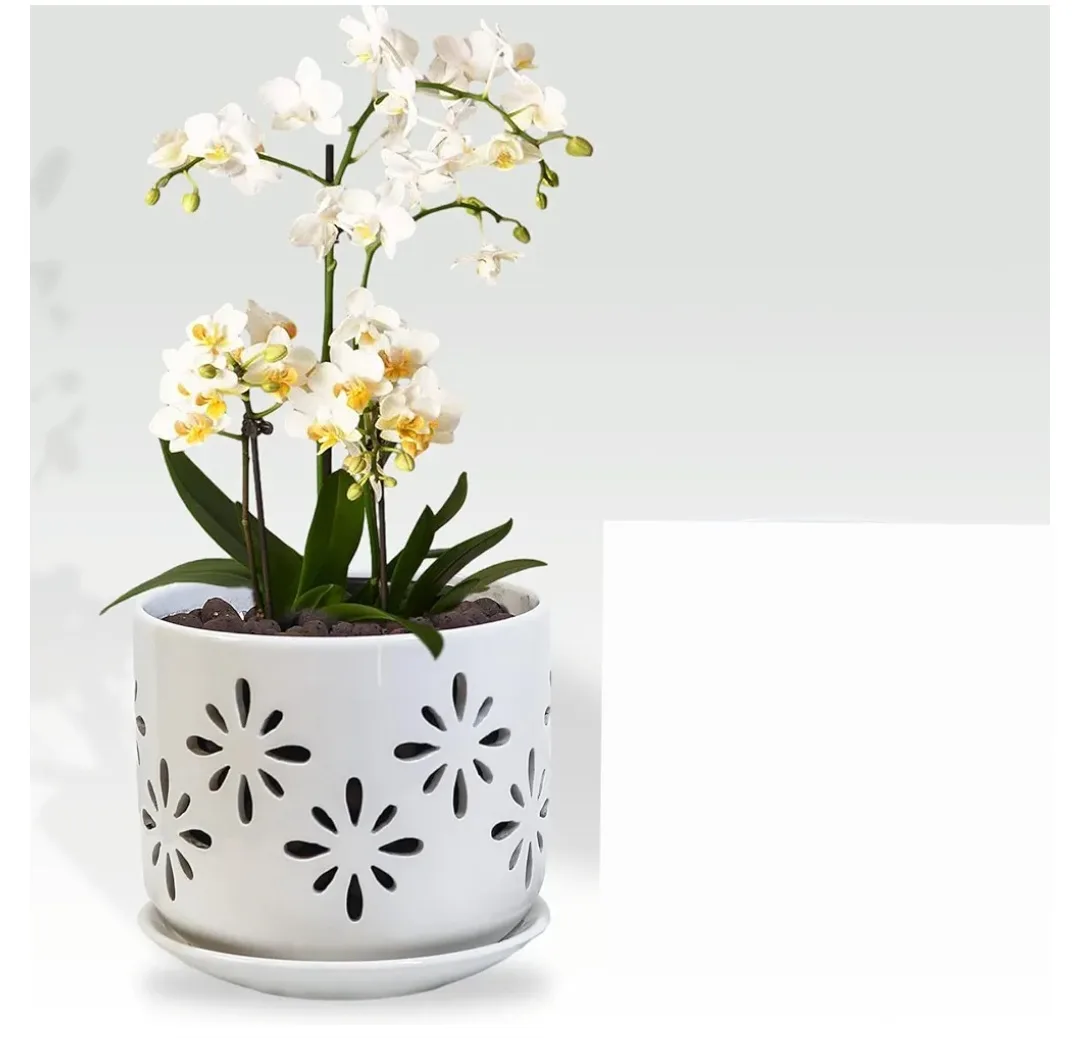 White Ceramic Orchid Pot with Saucer image indicator(5)