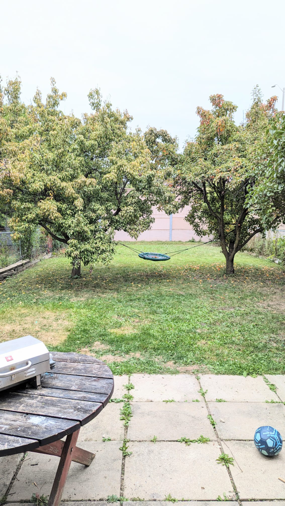 3 bedroom House for Rent - photo 2