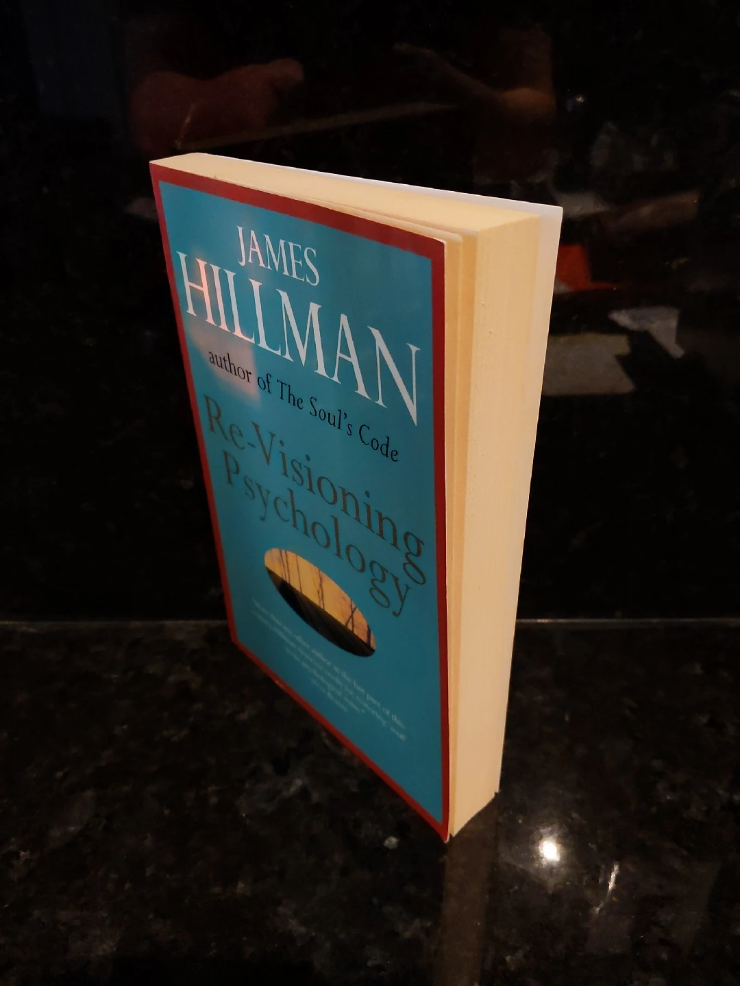 Re-Visioning Psychology by James Hillman - photo 3