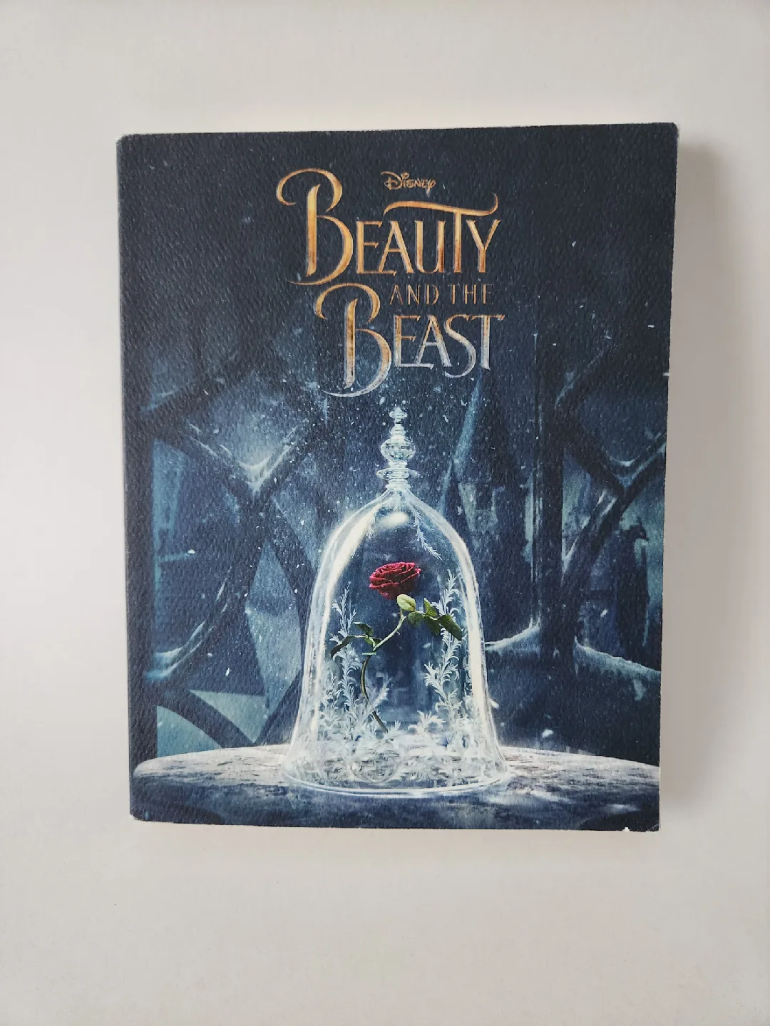 Disney Beauty and the Beast Canvas Print