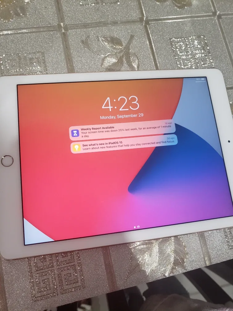 Apple iPad air2 cellular image indicator(2)