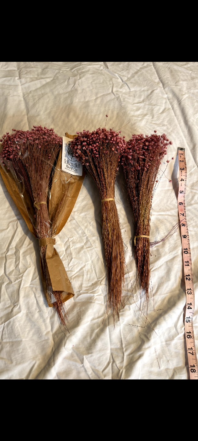 Dried flowers - photo 3