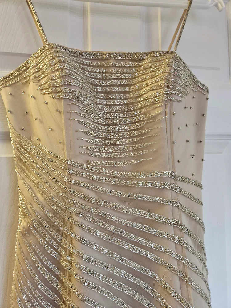 Beaded Evening Dress - Champagne image indicator(2)