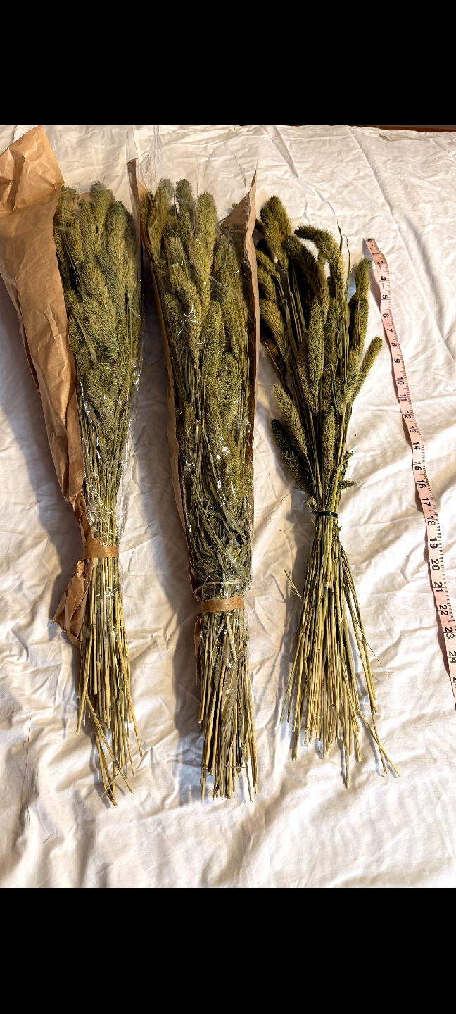 Dried Foxtail Grass Bunches