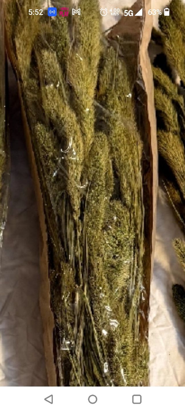 Dried Foxtail Grass Bunches - photo 2