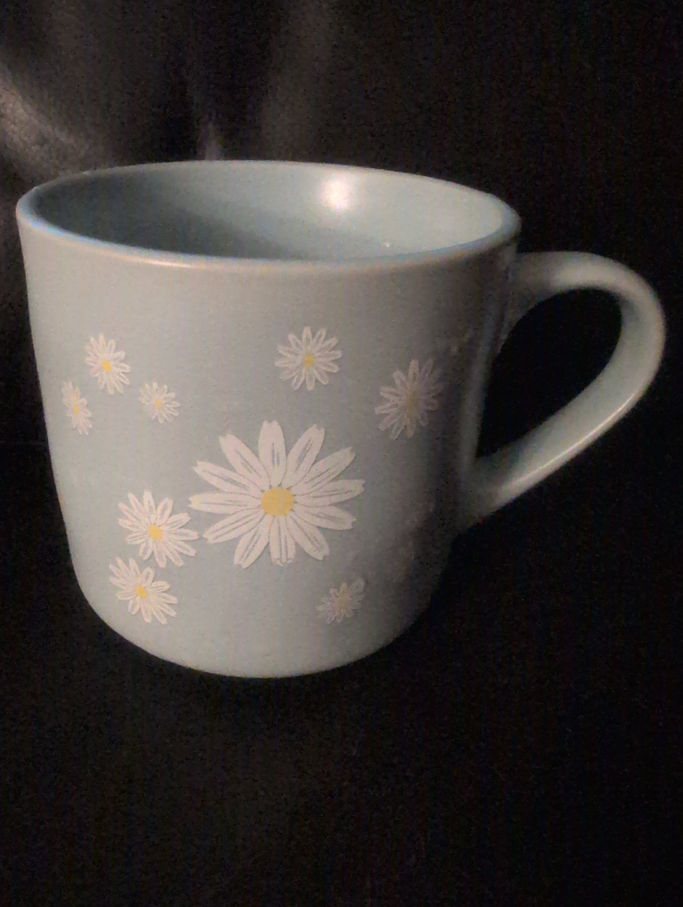 🧡Blue Daisy Mug