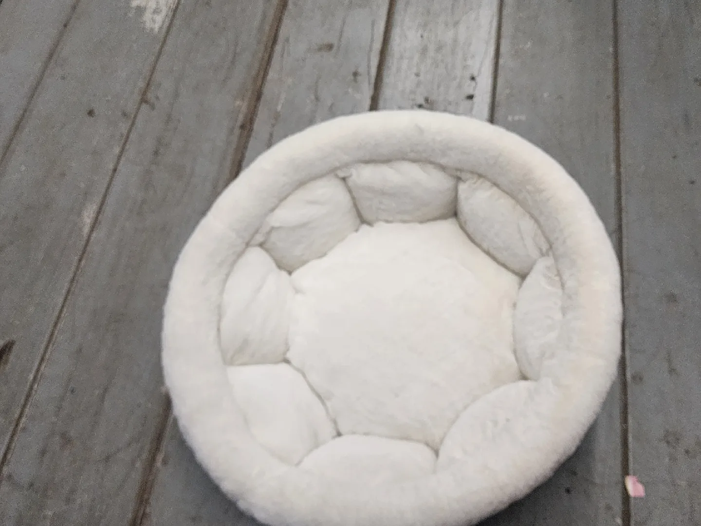 Cozy Pet Bed & Blue/White Cat Litter Box image indicator(3)