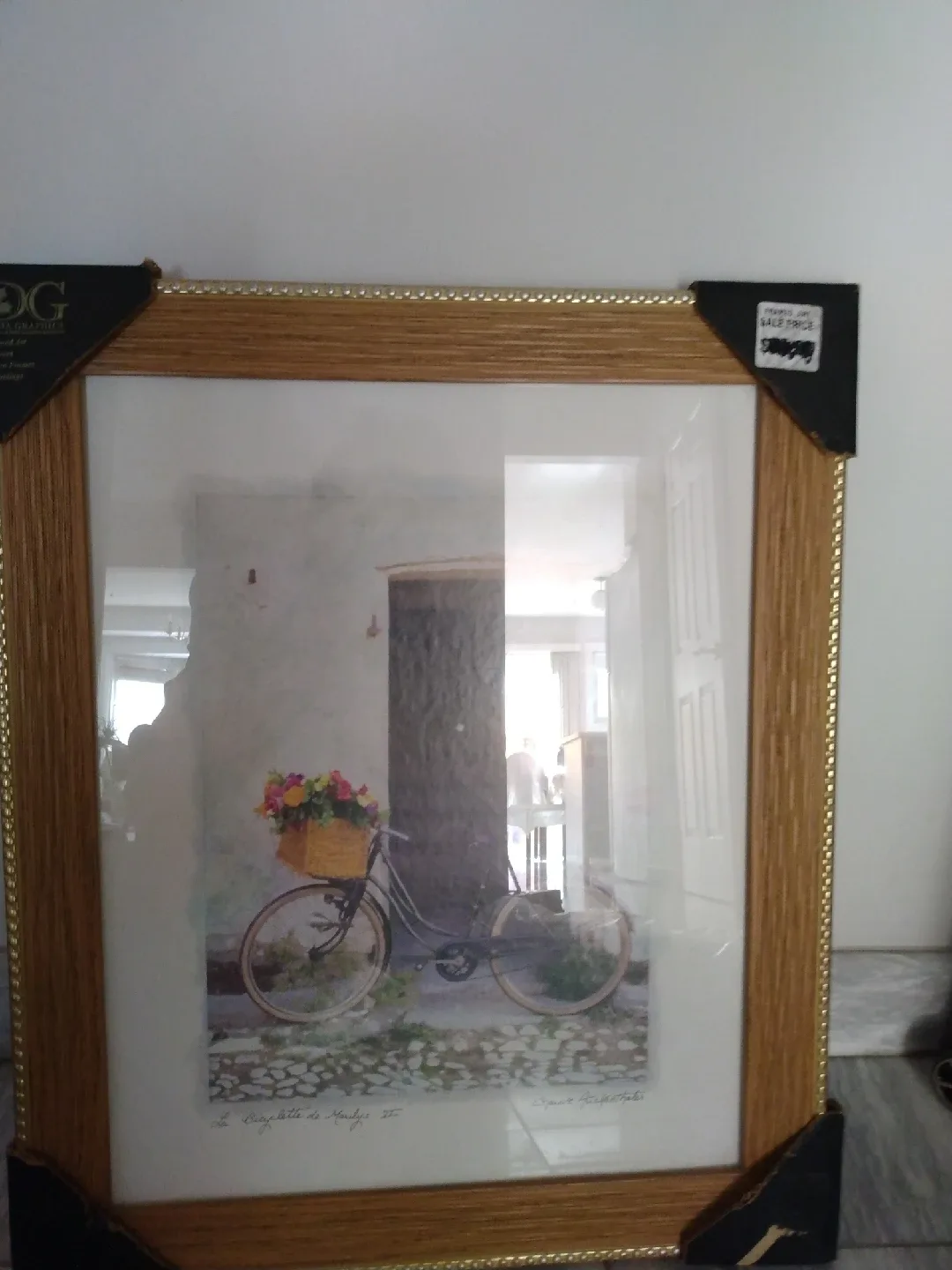 Framed Bicycle Picture image indicator(3)