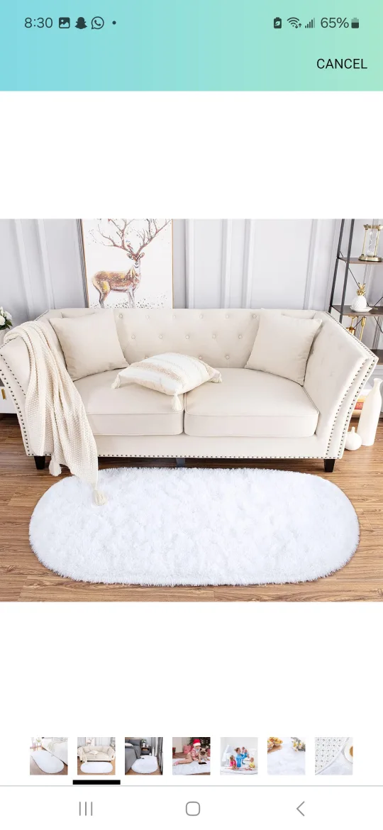 White Fluffy Area Rug image indicator(2)