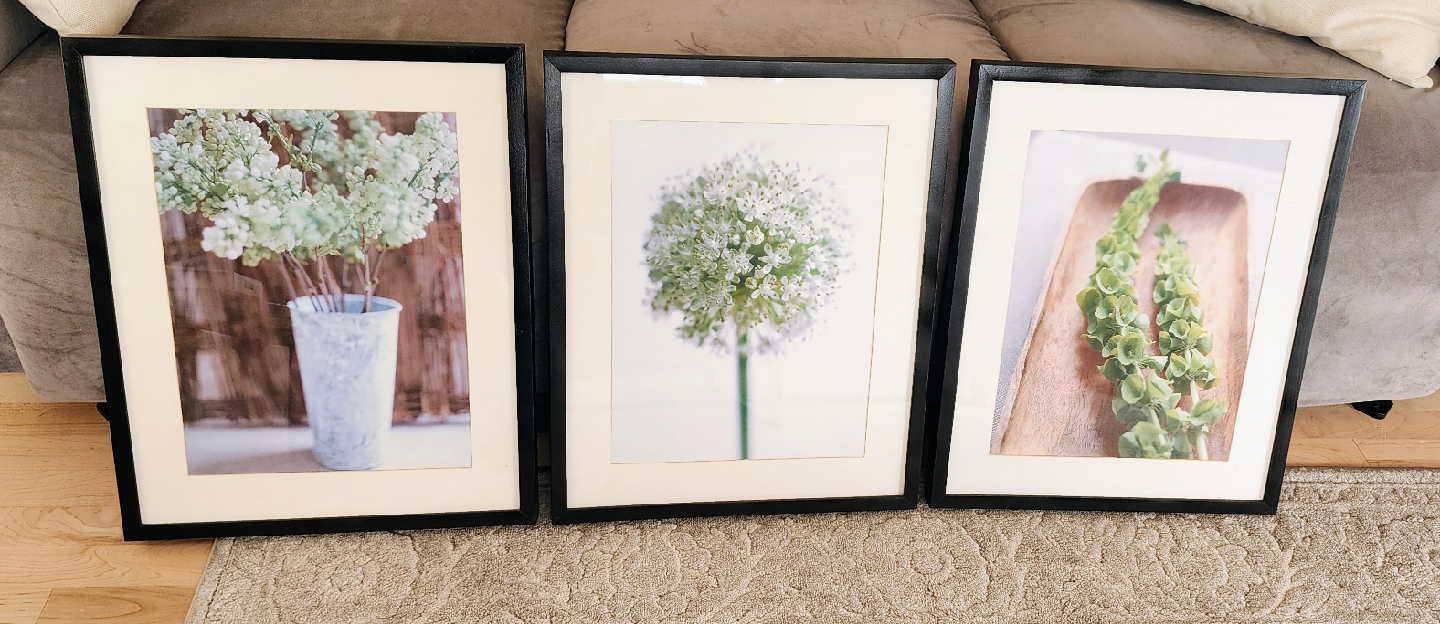 3 set Ikea decor plant photos