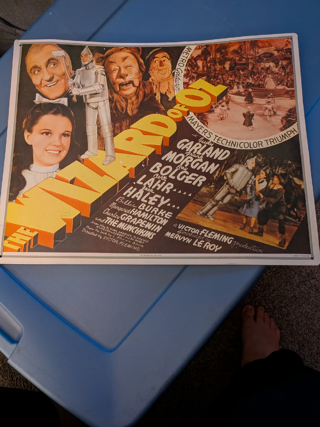 Tin wizard of Oz sign
