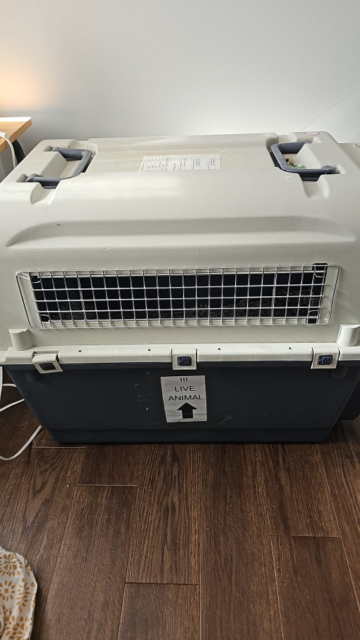 2 Large and X-Large crates for airplanes - photo 3