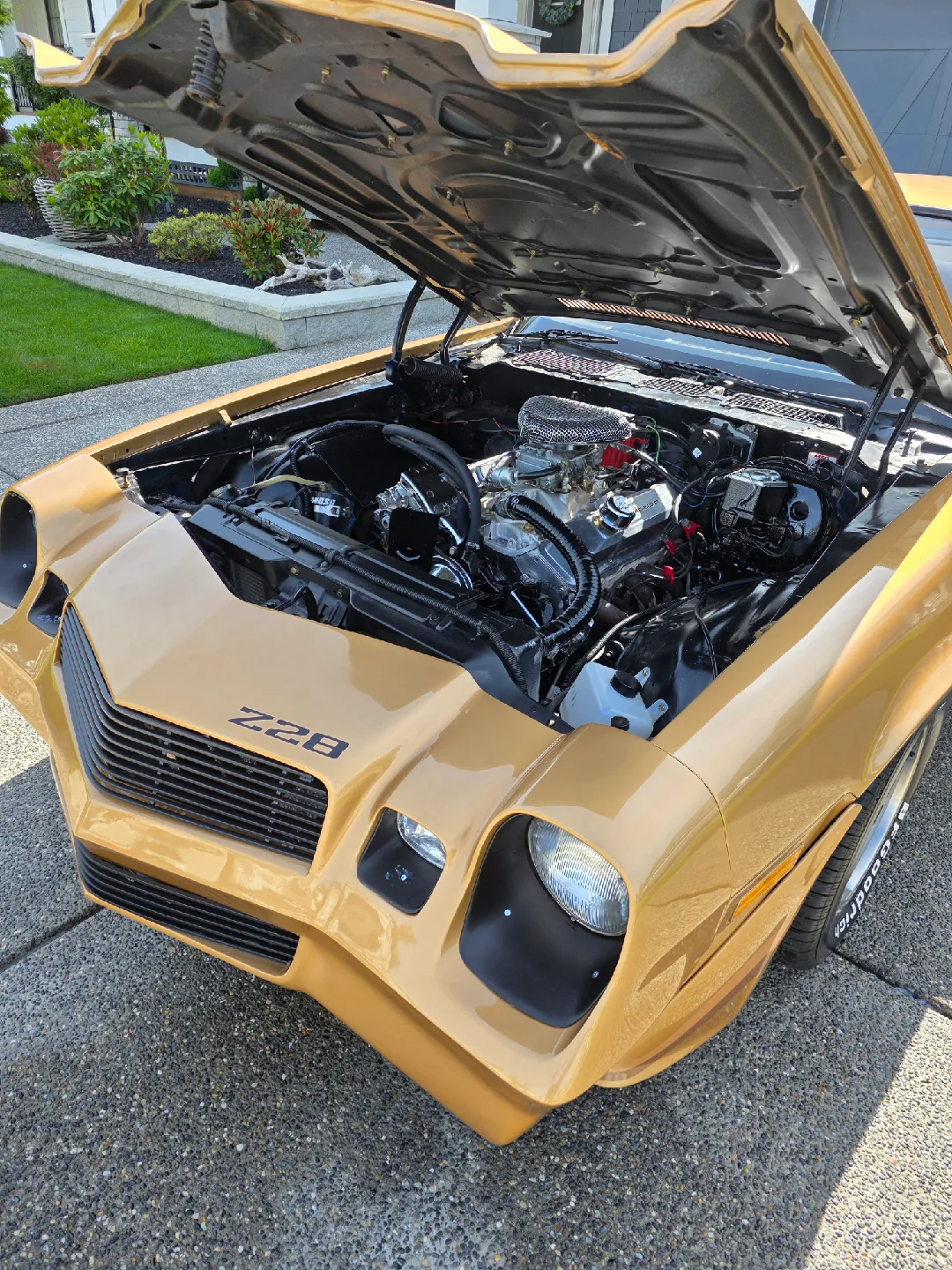 1979 Chevrolet Camaro image indicator(2)